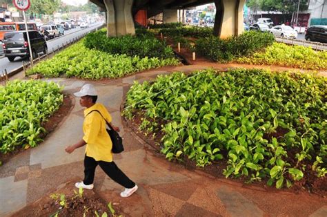 Ruang Terbuka Hijau Jakarta | ANTARA Foto