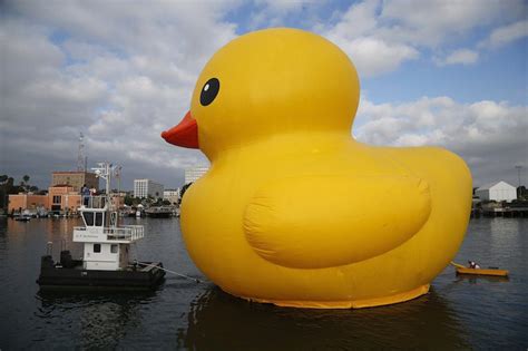 Giant Rubber Duck Floats Into Port of Los Angeles - PHOTOS