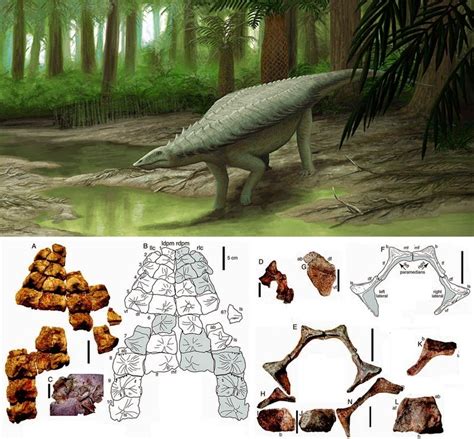 Species New to Science: [Paleontology • 2015] Gorgetosuchus pekinensis ...