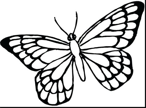 Monarch Butterfly Drawing | Free download on ClipArtMag