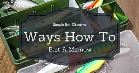 How To Bait A Minnow In 3 Simple Ways (2024)