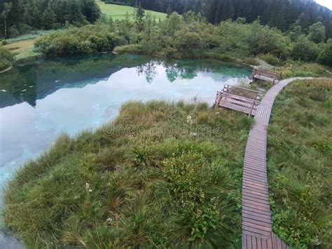 Lake zelenci Slovenia stock image. Image of waterway - 254143657