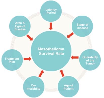 mesothelioma treatment - wikitechy