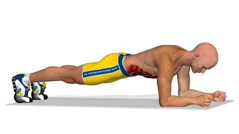 Strong abs exercises: Plank - YouTube