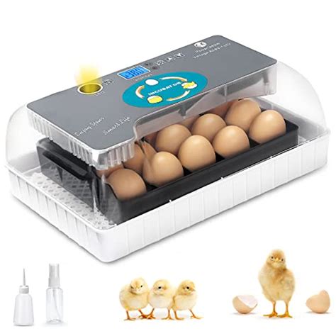 16 Best Chicken Egg Incubator 2022 - Reviews and Buying Guide - East ...