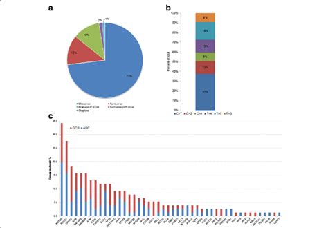 Overview of detected mutations. a Classification of the detected ...