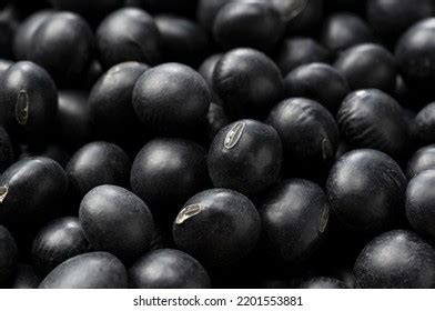 23,667 Soybean Black Images, Stock Photos & Vectors | Shutterstock