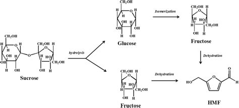 Conversion reactions of sucrose, glucose, and fructose into HMF ...