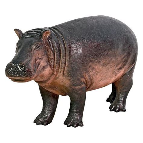 Bobo The Baby Hippo Statue - Contemporary - Garden Statues And Yard Art ...