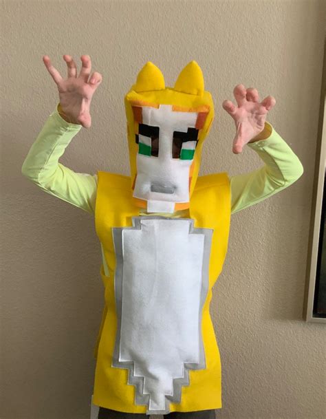 Minecraft Stampy Cat Costume Made to Order | Etsy