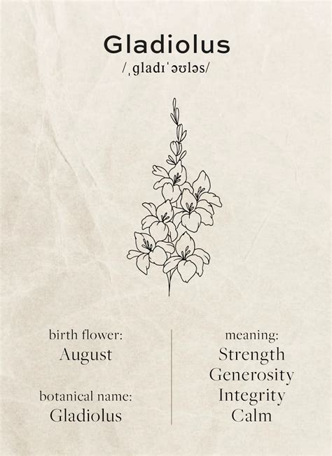 August Birth Flower Meaning | ubicaciondepersonas.cdmx.gob.mx