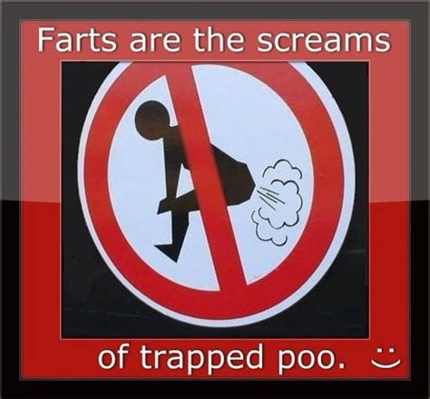 Fart Funny Quotes. QuotesGram