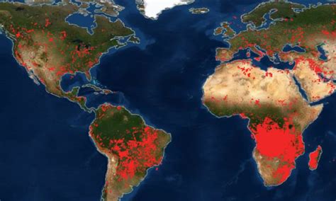 Maps of ongoing forest fires around the world are terrifying and Africa ...