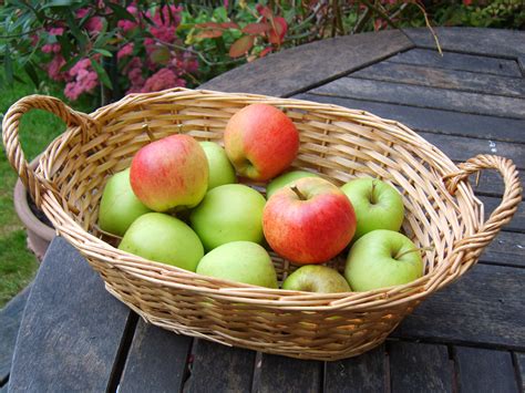 Apples in Basket | The Wayside Inn