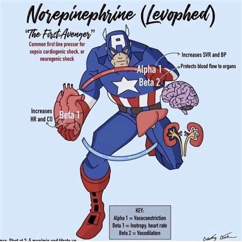 Read More and Download Book immediately Check out these medical #superheroes ꪜꪖડꪮρ𝕣ꫀડડꪮ𝕣ડ ꪊꪀⅈ𝕥 ...