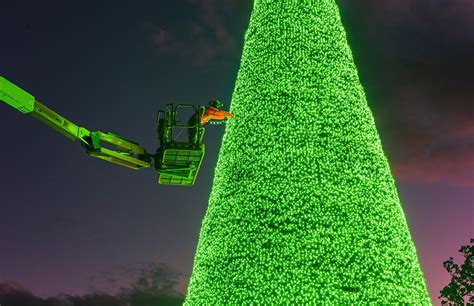 Longleat staff scale new heights decorating twenty-metre-tall singing ...