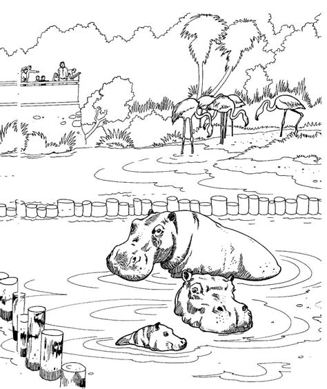 Hippopotamus in a Zoo Coloring Page - Free Printable Coloring Pages for Kids