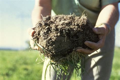 Topsoil Delivery & Instillation - Cleveland Landscaping | Lawn Leaders