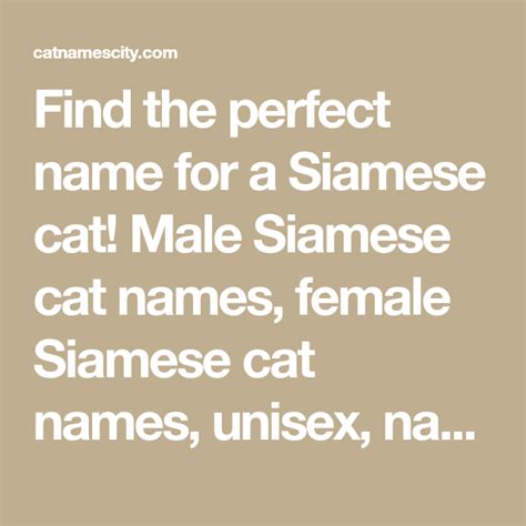 200+ Siamese Cat Names | Cat Names City | Siamese cats, Cat names, Cat with blue eyes