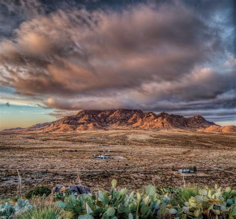 Tumbleweeds:: A Cavalry Fort, A Hidden River, Two Persian Ibex, and a ...