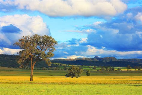 Landscape of rural Australia by syauqee on DeviantArt