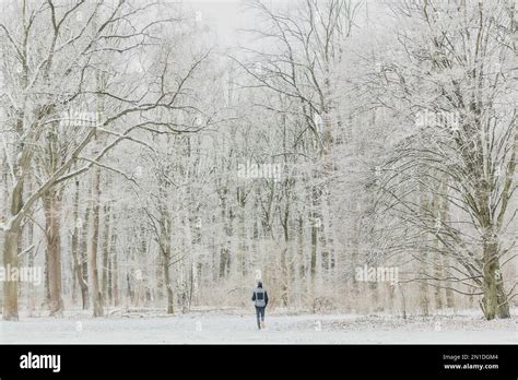 Berlin, Deutschland. 06th Feb, 2023. A man jogs through the Tiergarten ...