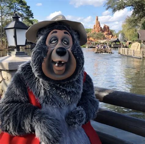 The Country Bear Jamboree: Honoring a Classic Disney Attraction