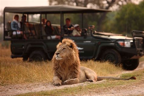 Botswana Tours | Botswana Safari | Cost | Vacation Package