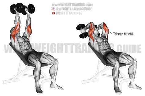 Incline Overhead Dumbbell Extension | tunersread.com