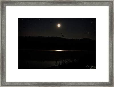 Moon Reflection In Lake Photograph by Gene Linzy