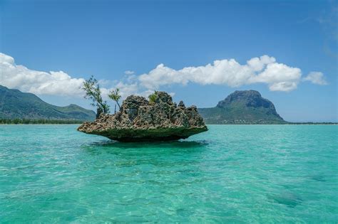 6 reasons to visit Reunion Island while in Mauritius - Elite Tour Réunion