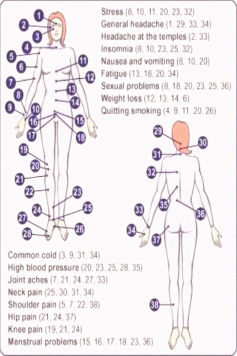 Full Body Acupressure Points Chart – NBKomputer