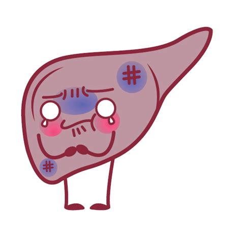 What is liver steatosis, or 'fatty liver disease'? Causes and evolution