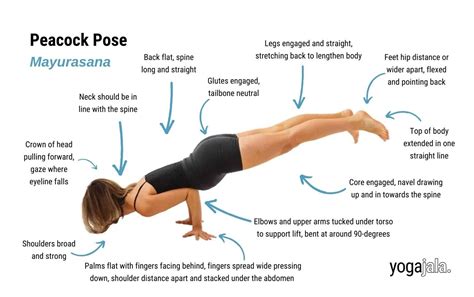 Mayurasana Benefits