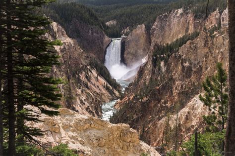 Yellowstone NP: Hiking at Yellowstone Grand Canyon - Fish and Feathers ...