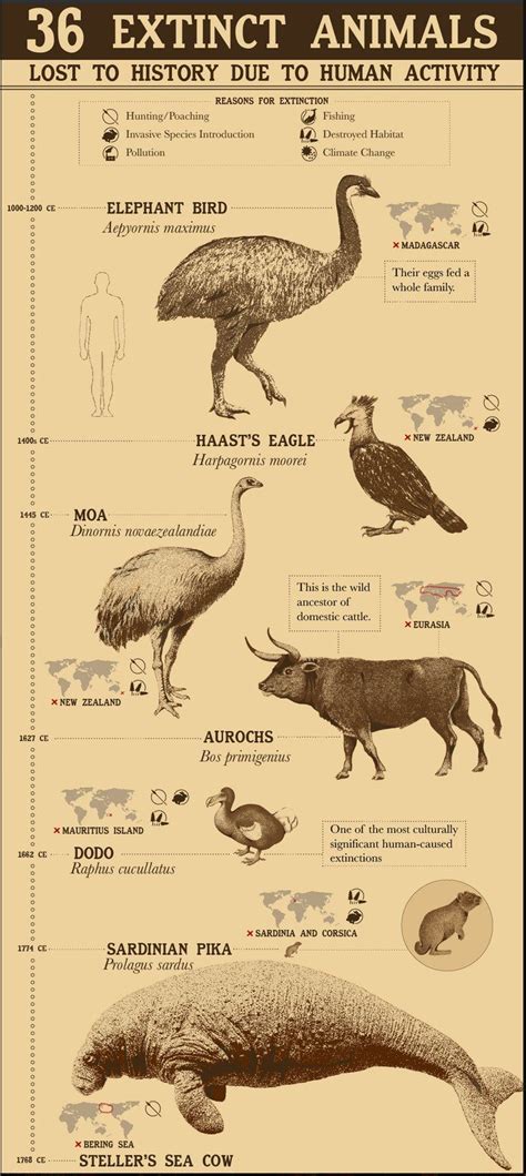 Extinct Animals Mammals List