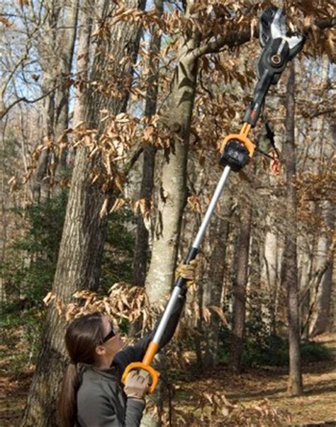 When to trim trees - Electric tree trimmer - A Thrifty Mom - Recipes ...