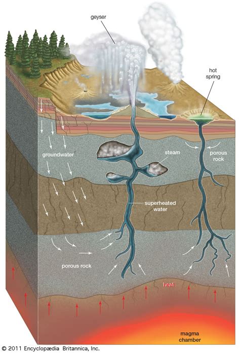 magma chamber: cross section of geyser and hot spring | Geology lessons, Science activities for ...