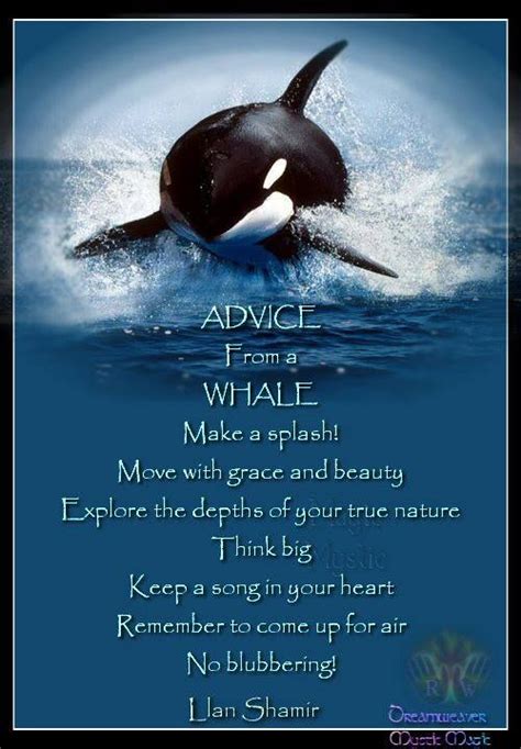 Whale Quotes - ShortQuotes.cc