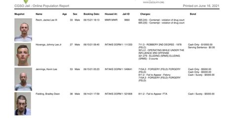 Cerro Gordo County Jail log for June 16