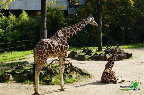 Duisburger Zoo, Zoo Duisburg | Freizeitpark-Welt.de