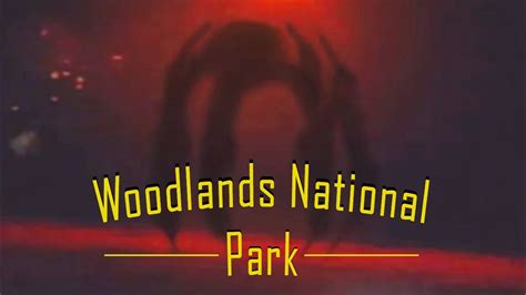 The Monsters in the Woods - Woodlands National Park Analog Horror - YouTube