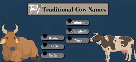 Moo-ve Over Boring Cow Names: Here Are Some Udderly Creative Ideas ...