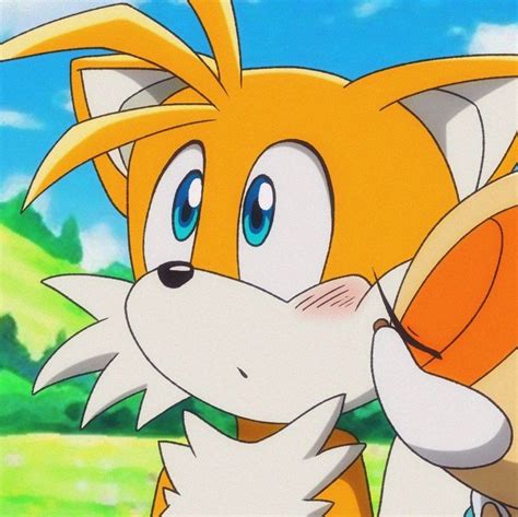 Sonic Boom, Sonic Sonic, Fox Boy, Sonic Franchise, Sonic Adventure, Anime Monochrome, All The ...