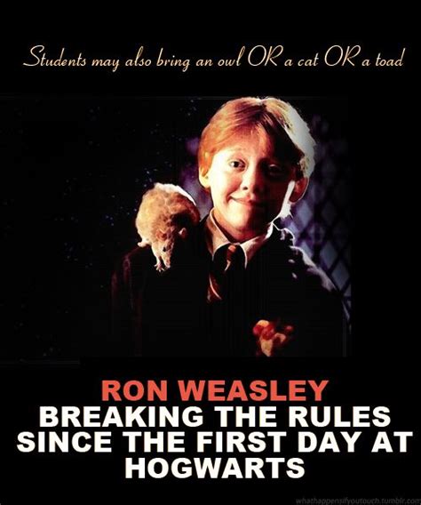 Ron Weasley Funny Quotes. QuotesGram