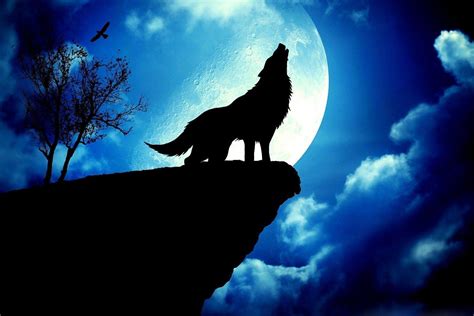 Wolf and Moon Wallpapers - Top Free Wolf and Moon Backgrounds ...