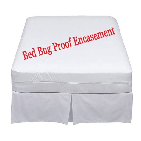 Lab Certified|6 Months Warranty|money Back Guarantee|bed Bug Proof Box Spring/mattress ...