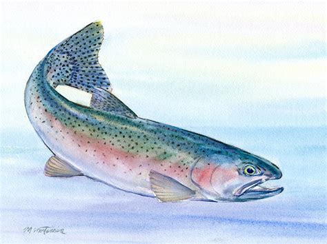 Rainbow Trout Painting by Mark Mortensen - Pixels