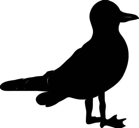 SVG > tail seabird nature wildlife - Free SVG Image & Icon. | SVG Silh