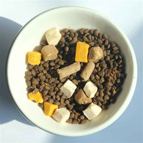 Freeze Dried Dry Cat Food - HsViko Pet Supplements